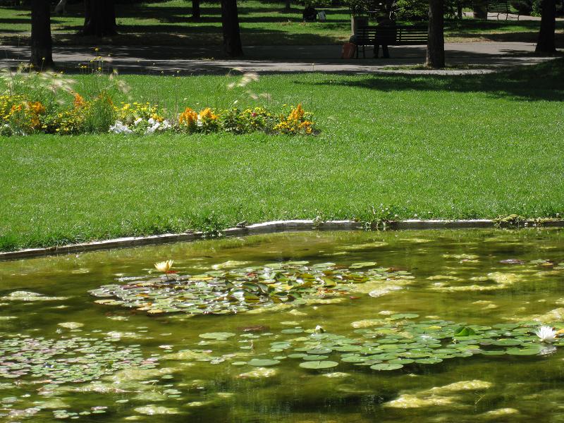 &eacute;coutez le chant des grenouilles en juin 2012, avant que les autori&eacute;s rebouchaient leur &eacute;tang...