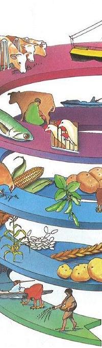 Energiespirale komplett...