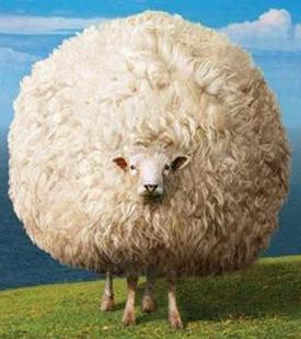 Die ideologisch wirren Schafe vonSwissCleanTech...